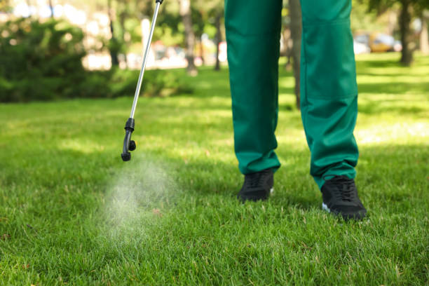 Best Rat Extermination Near Me  in Wilson Conococheague, MD