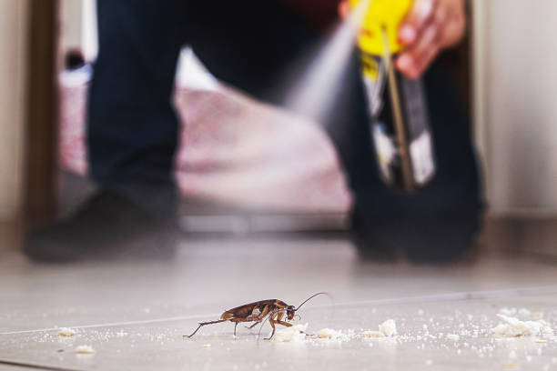 Best Best Pest Control Companies  in Wilson Conococheague, MD