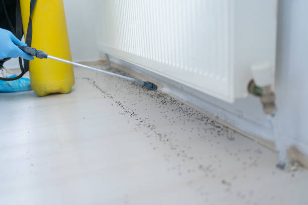 Wilson Conococheague, MD Pest Control Company